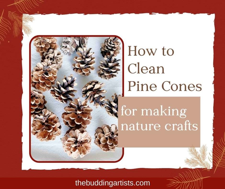 How to Clean Pine Cones for Crafting — The Budding Artists